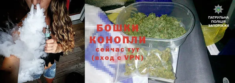 дарнет шоп  Малаховка  Канабис LSD WEED 